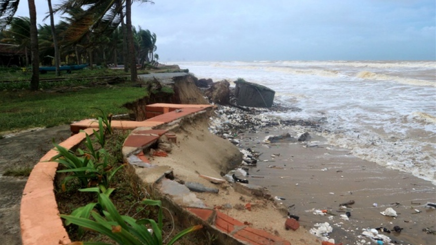 Hoi An luxury resorts threatened by erosion